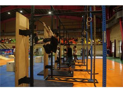 فانکشنال آقایان 24