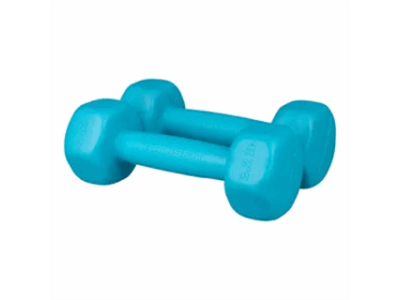 دمبل رادیس فیت مدل RFP1 وزن 1 کیلوگرم بسته 2 عددی