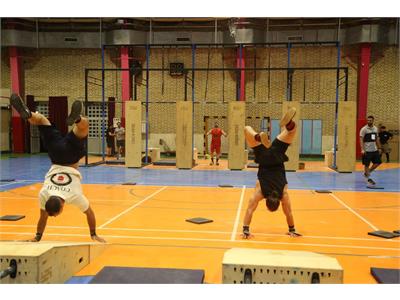 فانکشنال آقایان 8