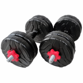 دمبل رادیس فیت مدل RFP1 وزن 1 کیلوگرم بسته 2 عددی