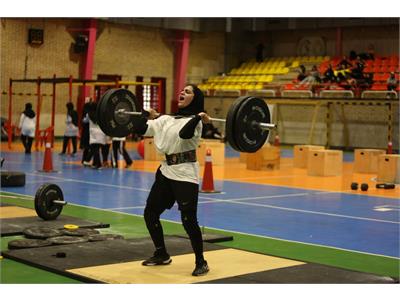 فانکشنال بانو 7