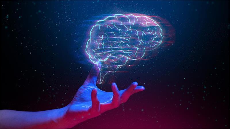 صدور مجوز فعالیت «کمیته هوش حرکتی» ذیل فدراسیون آمادگی جسمانی و تندرستی