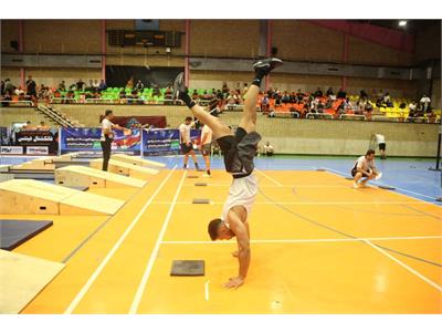 فانکشنال آقایان 20